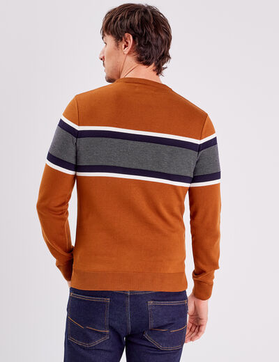 Pull manches longues marron homme