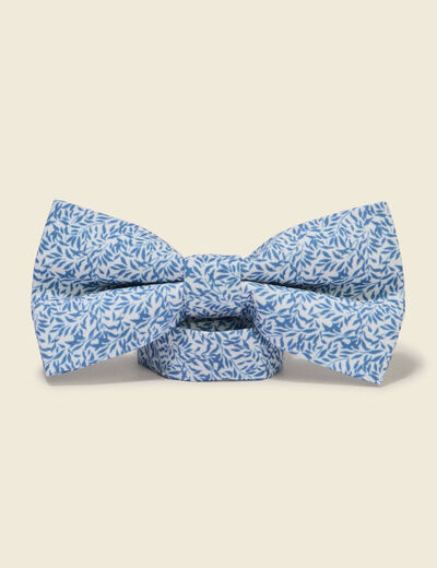 Noeud papillon vert clair homme