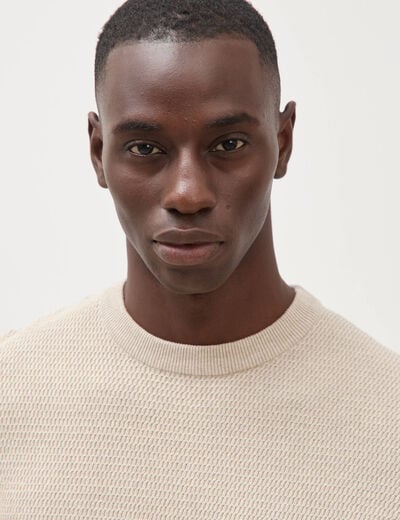 Pull droit manches longues sable homme
