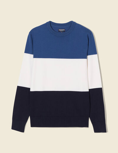 Pull manches longues col rond bleu fonc&eacute; homme