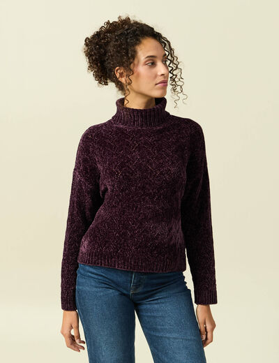 Pull col roul&eacute; manches longues prune femme