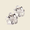 Boucles d'oreilles clous couleur argent femme
