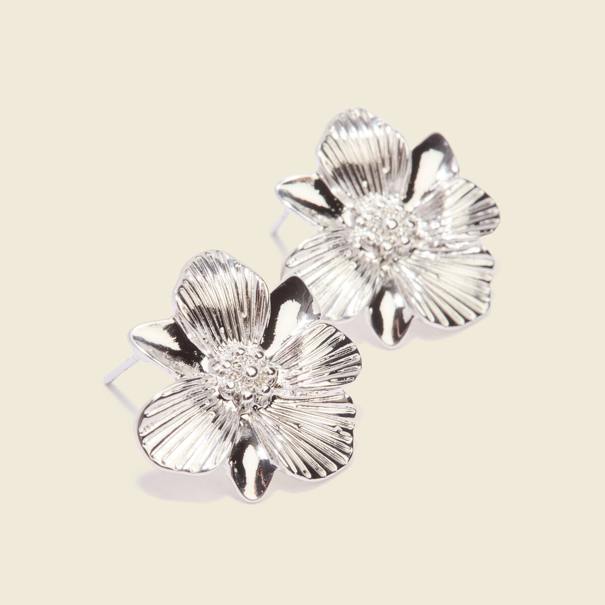 Boucles d'oreilles clous couleur argent femme