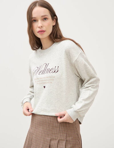 Sweat droit manches longues gris clair femme