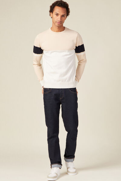 Pull éco-responsable ecru homme