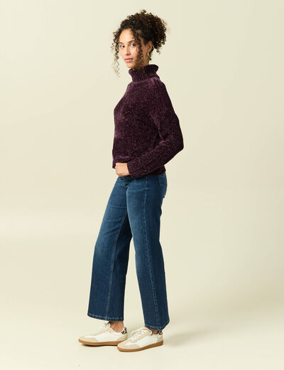 Pull col roul&eacute; manches longues prune femme