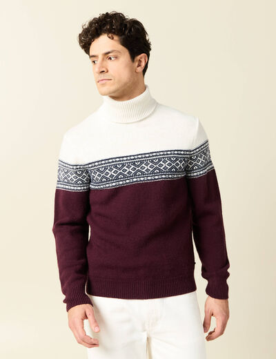 Pull manches longues prune homme