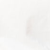 T-shirt manches courtes blanc homme