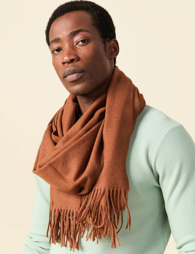 &Eacute;charpe marron homme