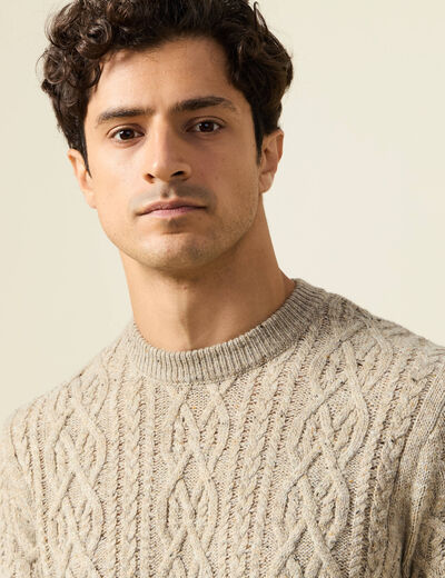 Pull col rond beige homme