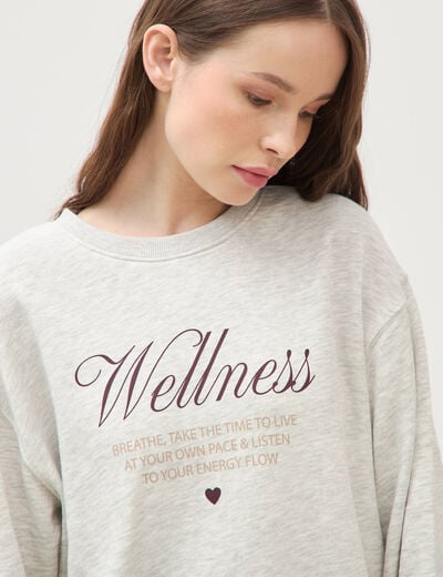 Sweat droit manches longues gris clair femme