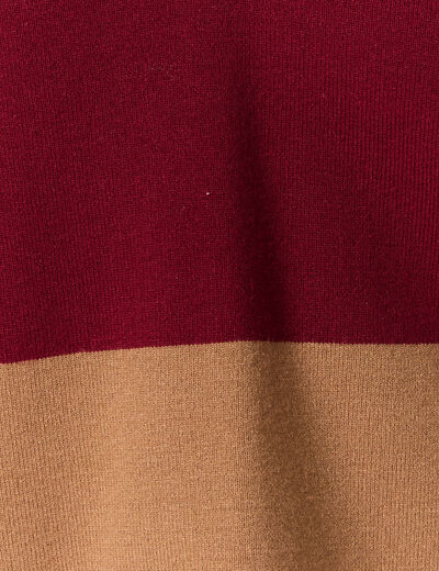 Pull manches longues col polo rouge femme