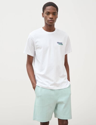 Bermuda bleu gris homme