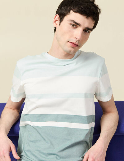 T-shirt manches courtes bleu gris homme