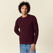 Pull éco-responsable prune homme
