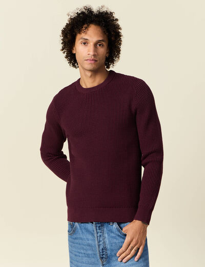 Pull éco-responsable prune homme