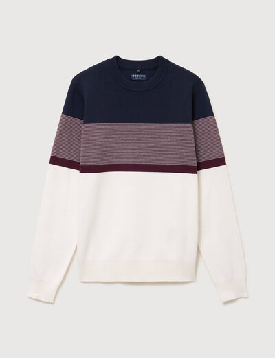 Pull fin col rond manches longues bleu marine homme