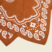 Foulard marron clair femme