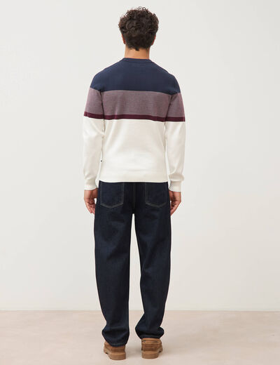 Pull fin col rond manches longues bleu marine homme