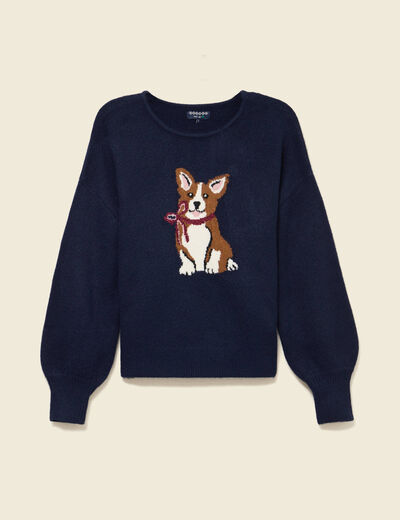 Pull col rond manches longues bleu marine femme