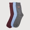Lot de 3 paires de chaussettes hautes prune homme
