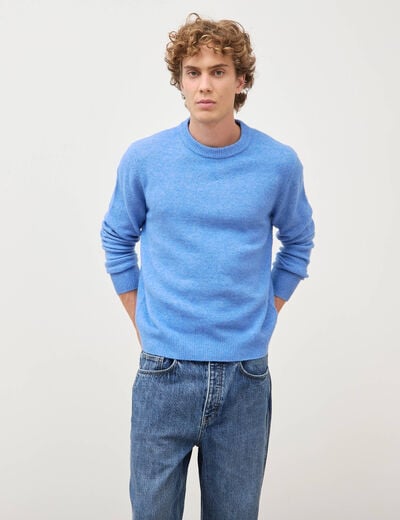 Pull manches longues col rond bleu violet homme