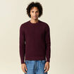 Pull éco-responsable prune homme