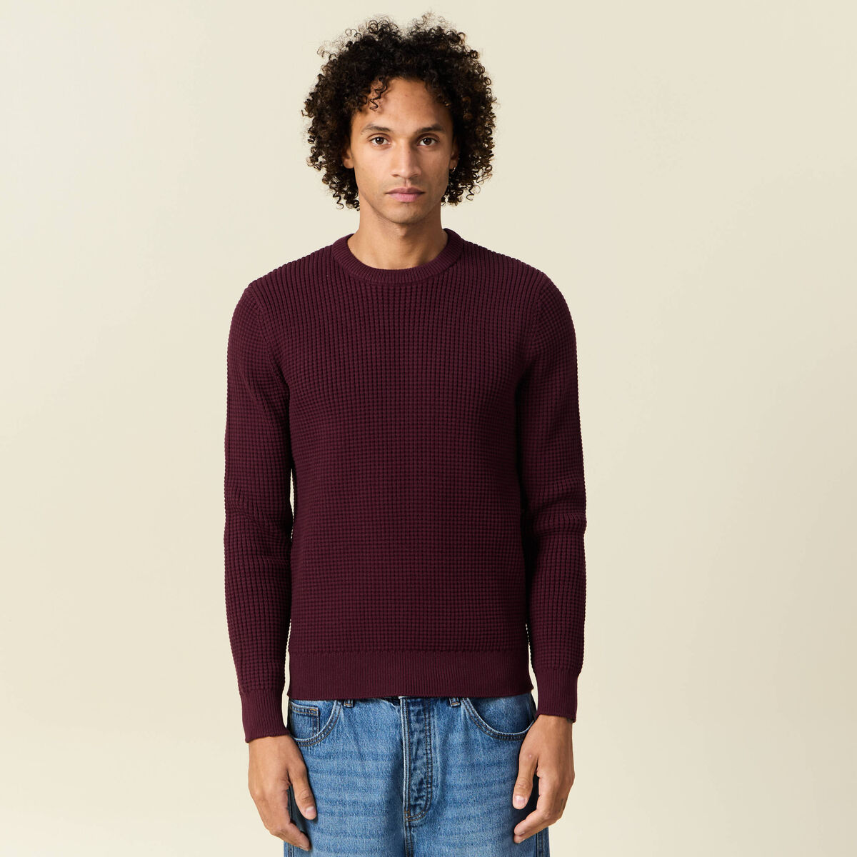 Pull éco-responsable prune homme
