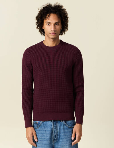 Pull éco-responsable prune homme