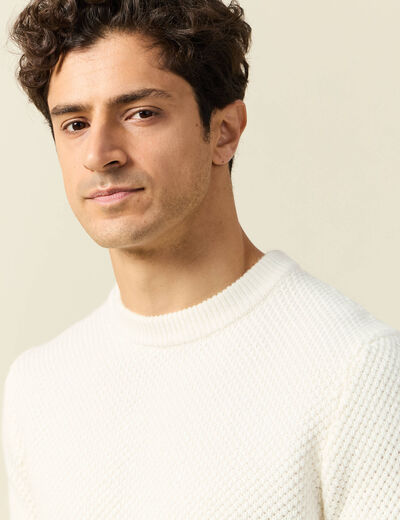 Pull col rond ecru homme