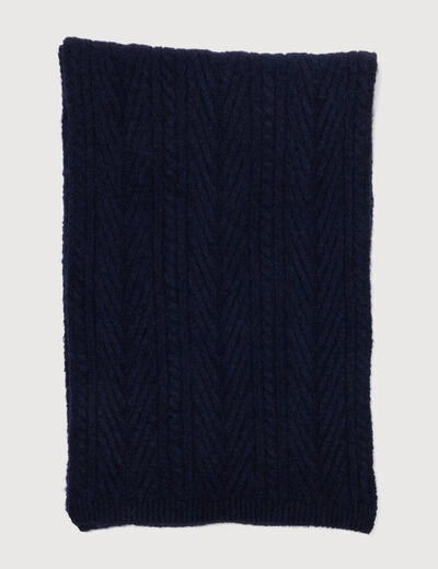 &Eacute;charpe bleu marine homme