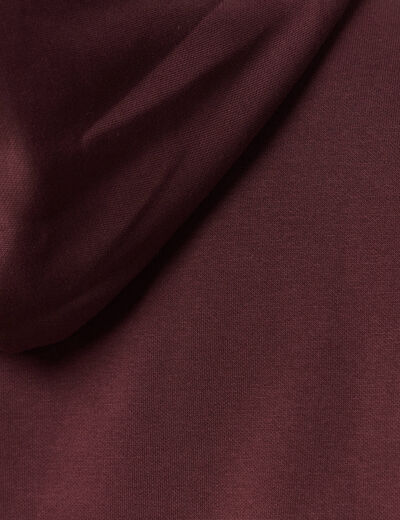 Sweat &agrave; capuche bordeaux homme