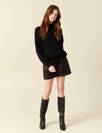 Pull manches longues col roul&eacute; brillant noir femme