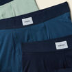Lot de 5 boxers vert pastel homme