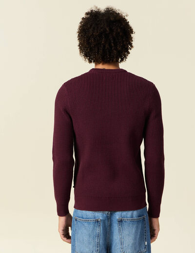 Pull éco-responsable prune homme