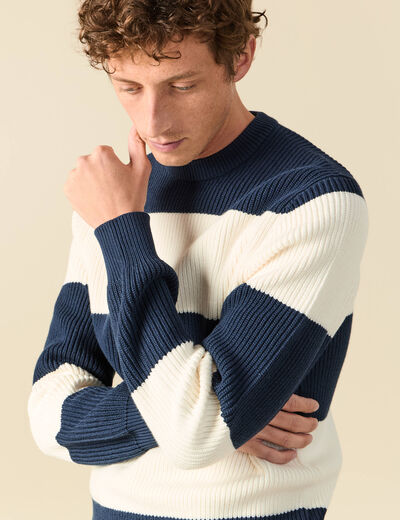 Pull fin ray&eacute; manches longues col rond bleu marine homme