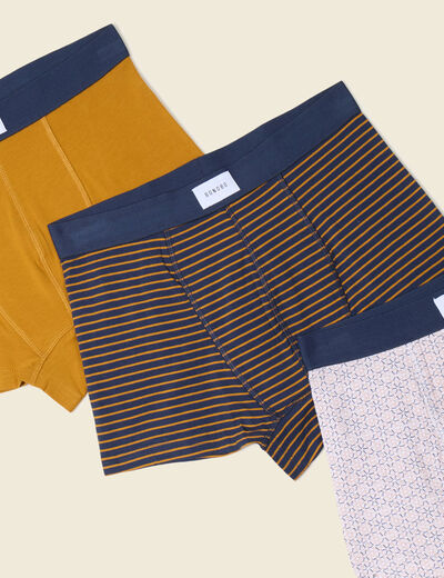Lot 3 boxers jaune moutarde homme