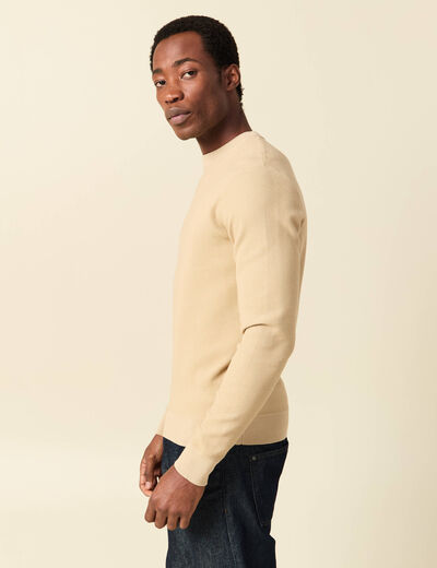 Pull fin col rond manches longues beige homme