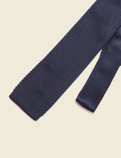 Cravate bleu marine homme