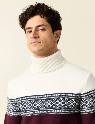 Pull manches longues prune homme