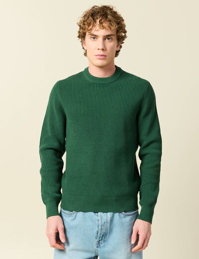 Pull fin manches longues col rond vert homme