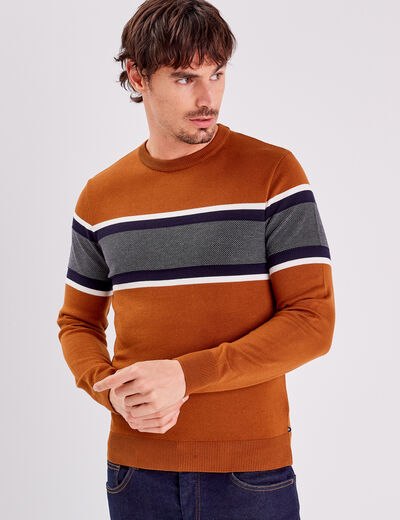 Pull manches longues marron homme