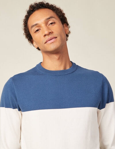 Pull manches longues col rond bleu fonc&eacute; homme
