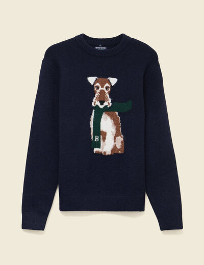 Pull col rond manches longues bleu marine homme