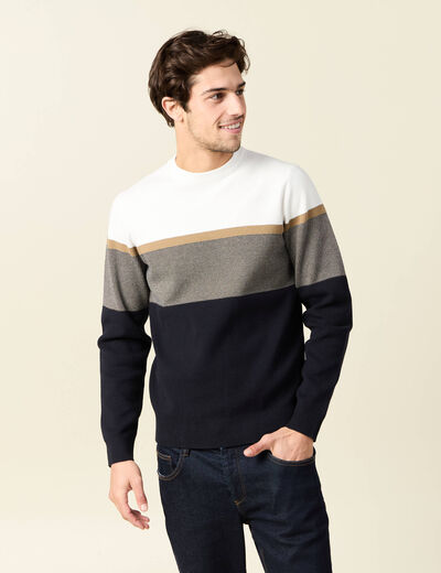 Pull manches longues bleu marine homme