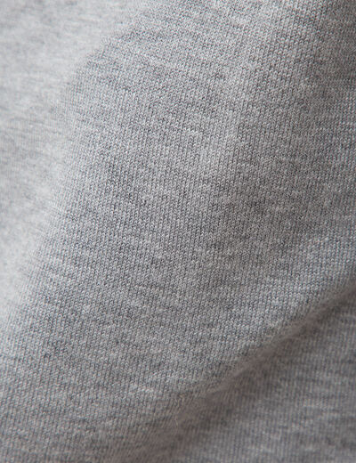 Pull fin col rond manches longues gris clair femme