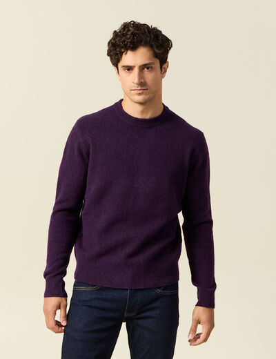 Pull manches longues col rond violet fonc&eacute; homme