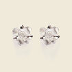Boucles d'oreilles clous couleur argent femme