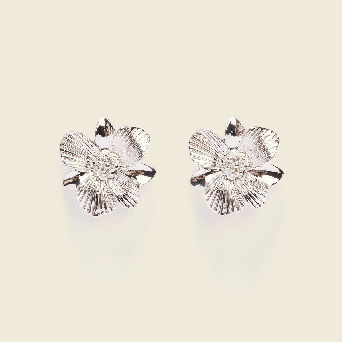 Boucles d'oreilles clous couleur argent femme