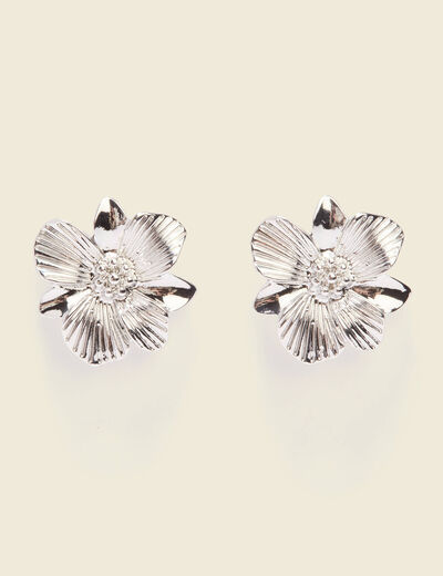 Boucles d'oreilles clous couleur argent femme